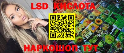 гашик Кунгур