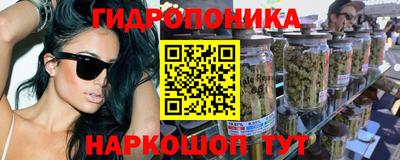 гашик Кунгур