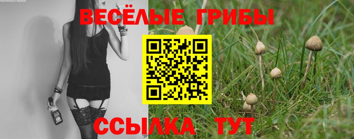 Галлюциногенные грибы GOLDEN TEACHER  Югорск 