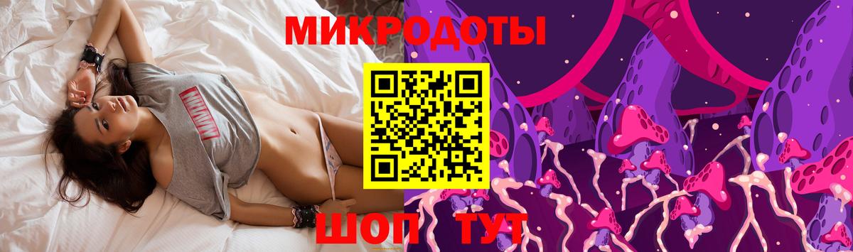 Псилоцибиновые грибы Psilocybe Югорск